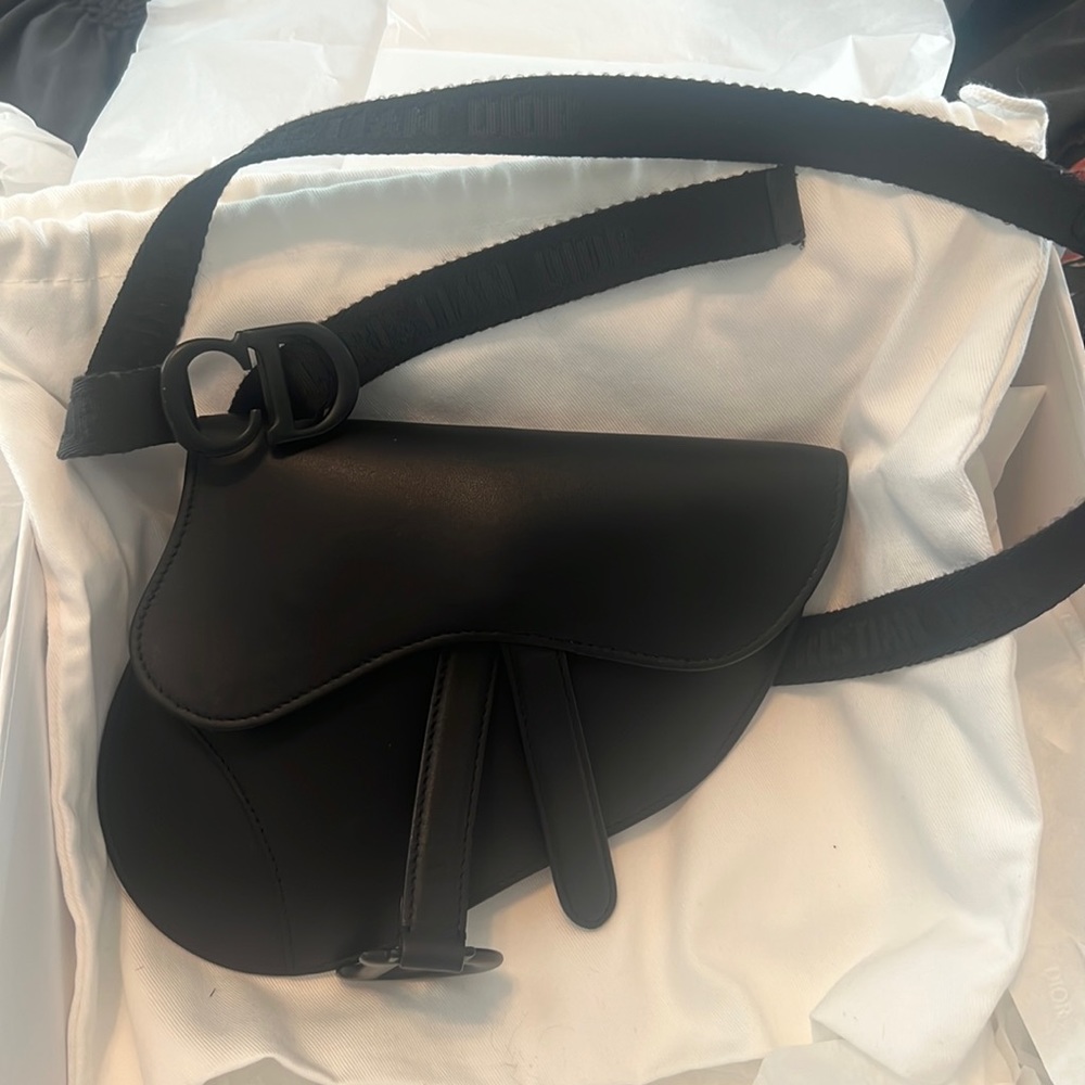 Christian Dior Saddle flat belt bag Pouch